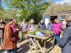 Community Growing and Food Network photos Wharton Park
