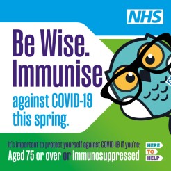 Be Wise Immunise graphic