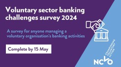 Voluntary Sector Banking Survey graphic