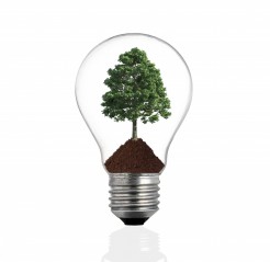 Tree lightbulb image