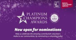 Platinum Champions Award logo