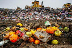 Food waste image