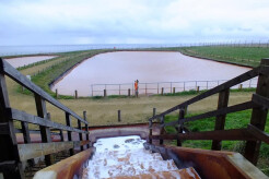 Horden Minewater image