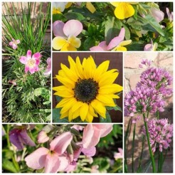 School Seed Bank